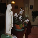 Hotel Casa Diomira Lido di Camaiore
